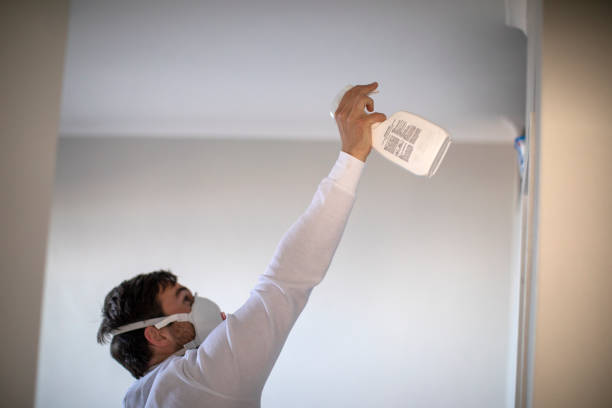 Best Attic Mold Removal  in Harriman, TN