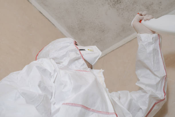 Water Damage Restoration in Harriman, TN