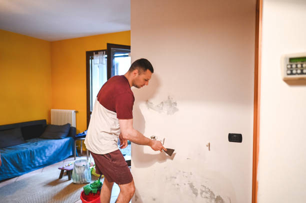 Best Office Mold Removal Services  in Harriman, TN